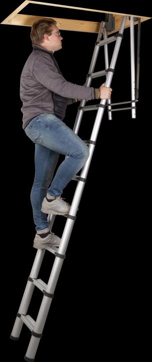 Actual product image Batavia Telescopic loft ladder (Telescopic ladder, 285 cm)