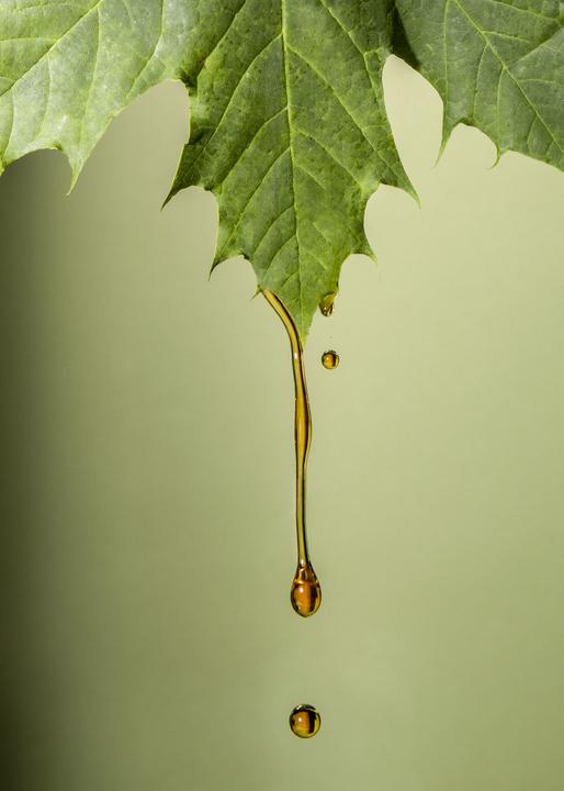 Immagine prodotto KoRo Sciroppo d'acero biologico (1000 g)
