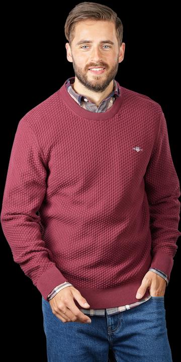 Actual product image GANT Cotton Texture Pullover Crew Neck Red Shadow (3XL)