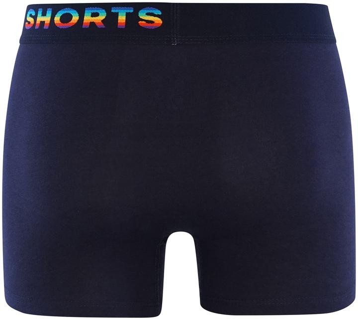 Image du produit Happy shorts Short rétro Trunks (XL, lot de 2)