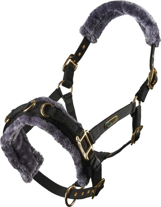 Actual product image Shires Fleece Lined Plush Horse Lunge Cavesson
