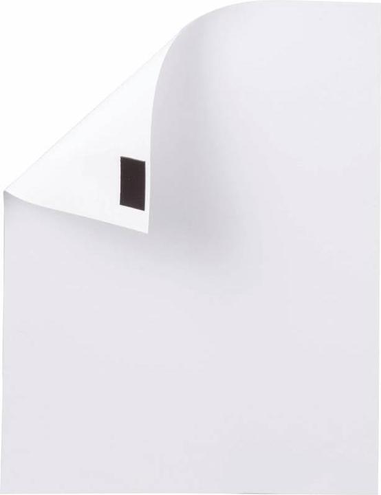 Image du produit Maul Bande magnétique (1 x)