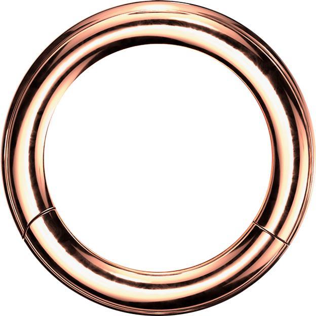 Immagine prodotto Star Piercing Segmentring klappbar rosegold (Acciaio chirurgico 316L, senza ottone)