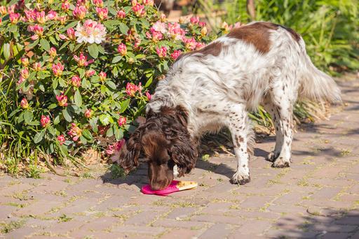 Produktbild Beeztees Leckmatte Eiscreme (Kauspielzeug Hund)