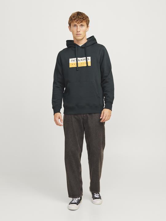 Actual product image Jack & Jones Jorfrederiksberg Box Sweat Hood Sn (S)
