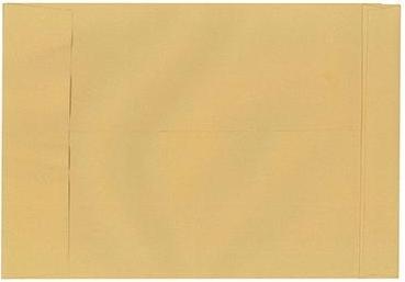 Actual product image Neutralware Folding pocket DIN E4 without window 150g/m² with adhesive natron brown 250 pcs./pack. (250 x)