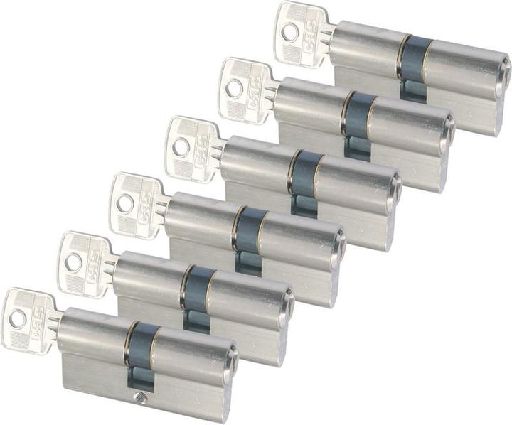 Starx -Profilzylinder - 6 Teile - Nickel -plattiert 60 mm wie -ähnlich - SKG2 -Qualitätsmarke (87.40 (Profilzylinder)