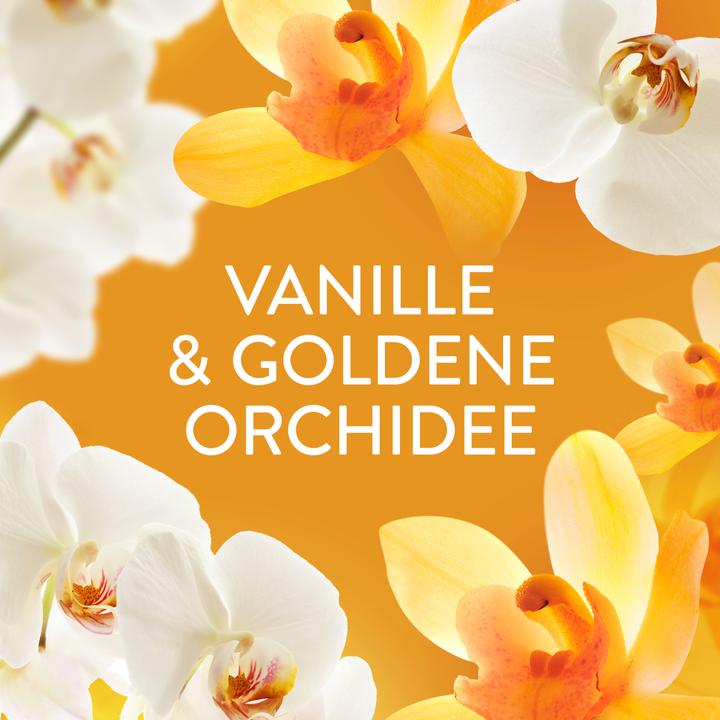 Image du produit Lenor Goldene Orchide (22 Cycles de lavage, Perles)