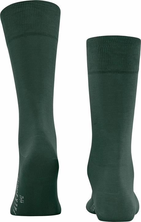 Produktbild Falke Cool 24/7 (Einzelpack, 41 - 42)