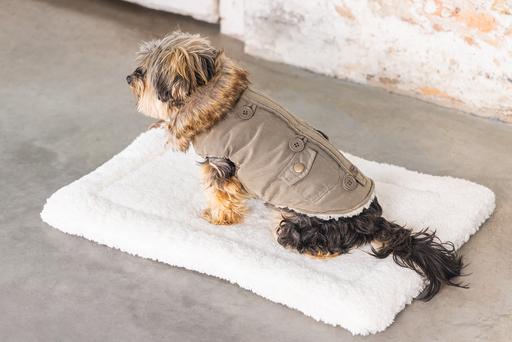 Immagine prodotto Designed by Lotte Cappotto per cani Philos (XS, Cappotto per cani)