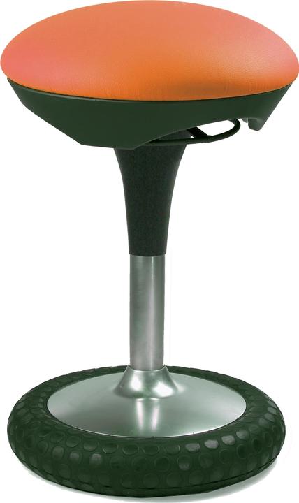 Image du produit Topstar Sitness 20