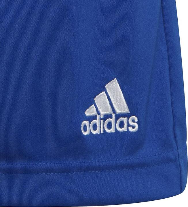 Actual product image adidas Entrada 22 Shorts (140)