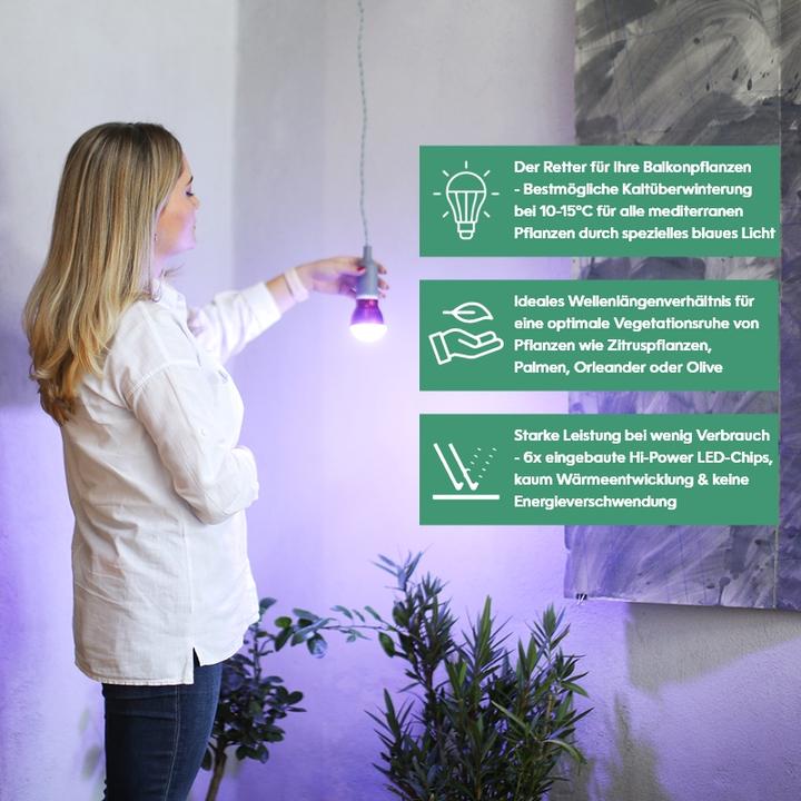 Produktbild Venso Grow Light Winter (LED, 245 V)