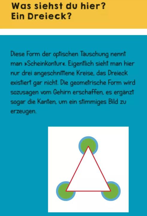 Produktbild Optische Täuschungen (Deutsch, Timo Schumacher, 2020)