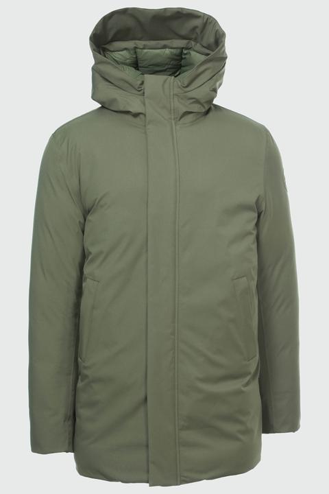 Vert lierre