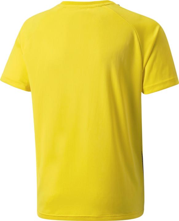 Actual product image Puma teamLIGA Striped Jersey Jr-704927 (152)