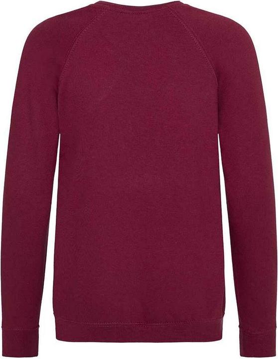 Actual product image Awdis Childrens/Kids Academy Raglan Sweatshirt (116)