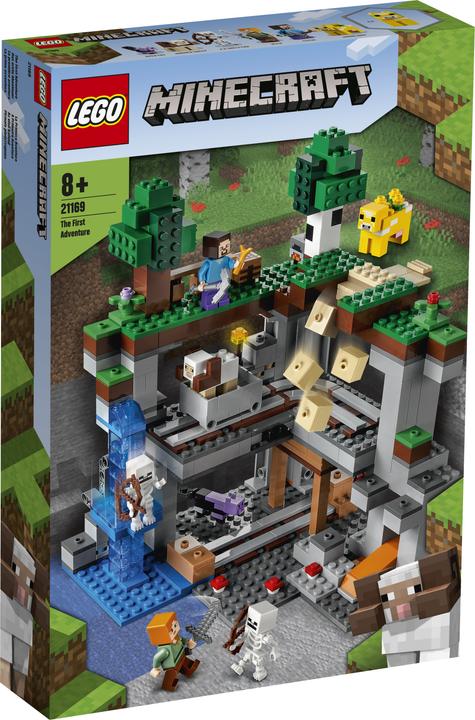 Actual product image LEGO The first adventure (21169, LEGO Minecraft)