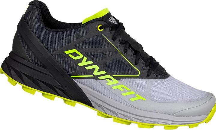 Dynafit Alpine Laufschuh (41)
