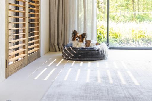 Actual product image Designed by Lotte Reza reclining cushion (Dog)
