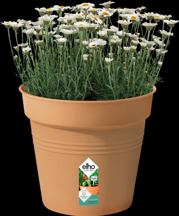Actual product image Elho Green Basic (30 cm)