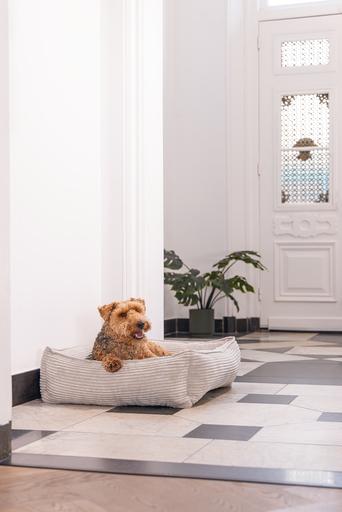 Produktbild Designed by Lotte Liegebett Ribbed (Hund)