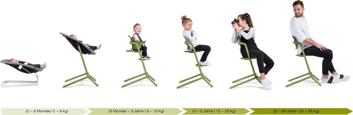 Produktbild Cybex Lemo Chair Wood (Hochstuhl)