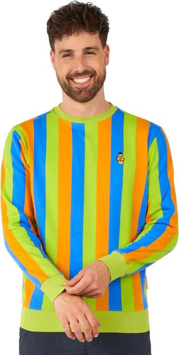Actual product image OppoSuits – Sesamstrasse Bert Pullover (L)