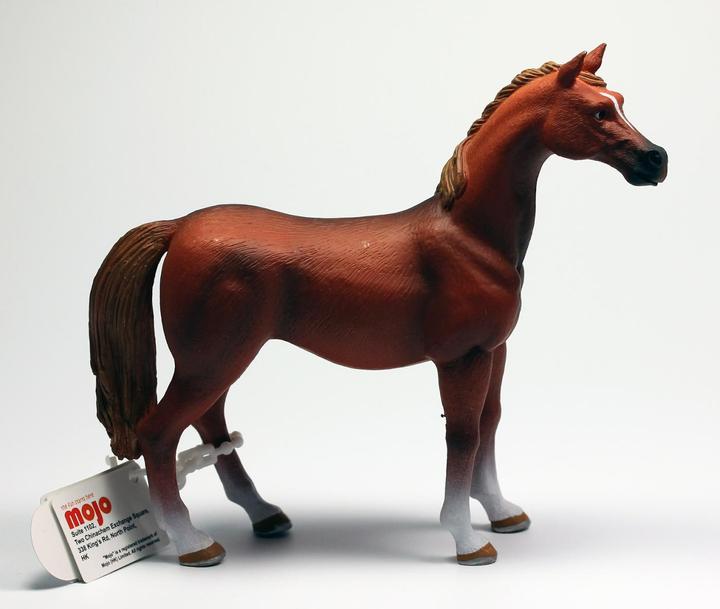 Actual product image Animal Planet Arabian stallion