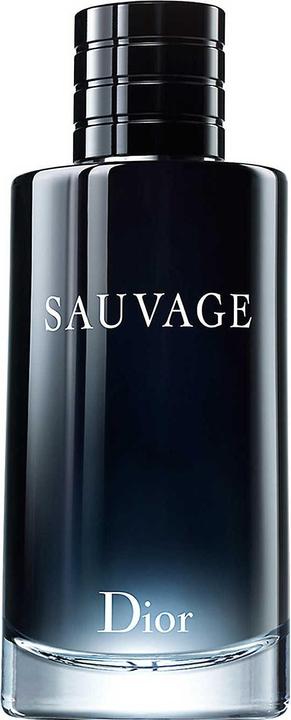 Image du produit Dior Sauvage (Eau de toilette, 200 ml)