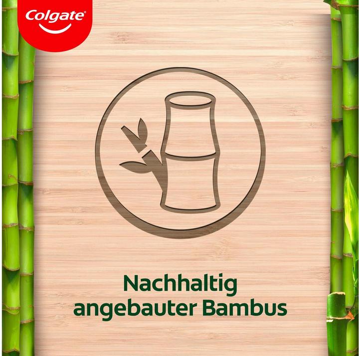 Immagine prodotto Colgate Bamboo Kids Orso / Koala 6+ anni Morbido (Morbido, 1 x)