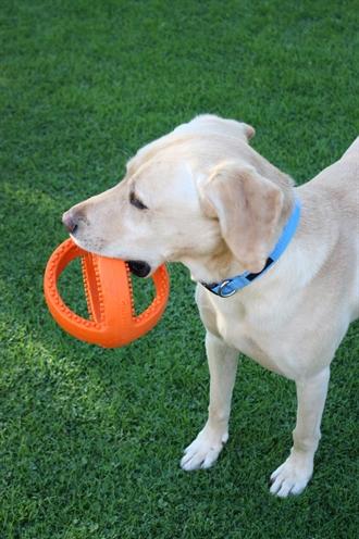 Produktbild Happy Pet Grubber Interactieve Voetbal Oranje (Apportieren)