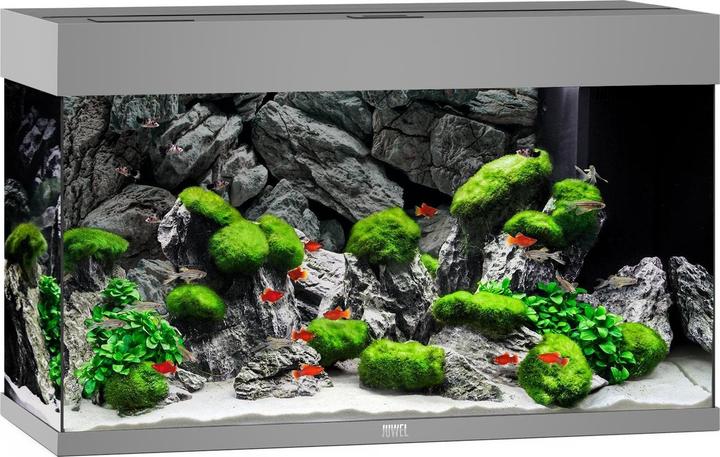 Image du produit Juwel Aquarium Aquarium Rio 125, 81x36x50cm, gris (125 l)