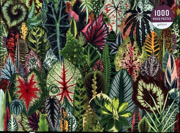 Produktbild Abrams & Chronicle Houseplant Jungle (1000 Teile)