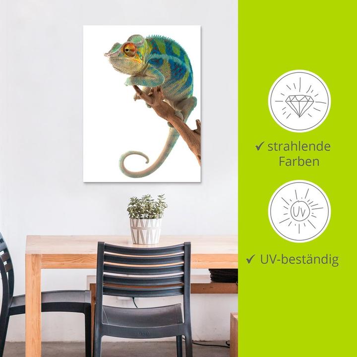 Actual product image Artland Ambanja Panther Chameleon T5RW (30 x 40 cm)