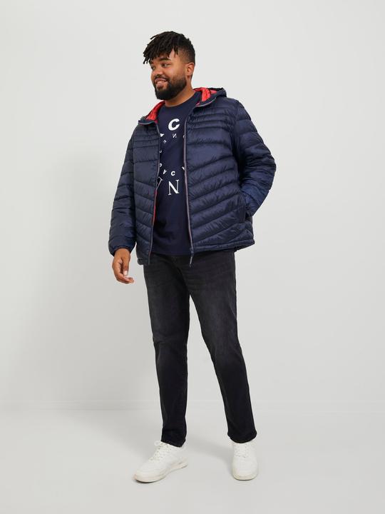 Immagine prodotto Jack & Jones Jeans Glenn Fox GE 147 Plus Size Slim Fit (W40/L34)
