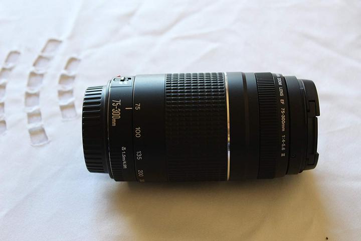 Immagine prodotto Canon EF 75-300mm f/4.0-5.6 III - (EU) (Canon EF, Full-frame)