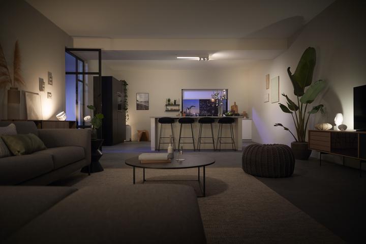 Actual product image Philips Centris (3010 lm, GU10)