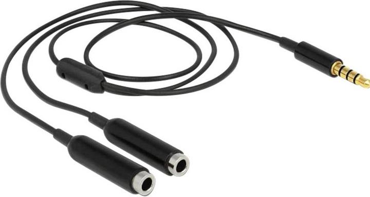 Immagine prodotto Delock Cavo sdoppiatore audio jack 3,5 mm - 2x 3,5 mm femmina (0.25 m, 2,5 mm)
