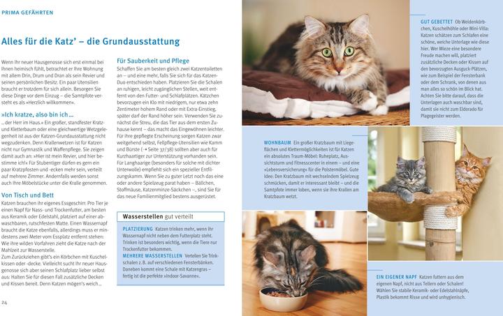 Produktbild Katzen (Deutsch, Brigitte Eilert-Overbeck, 2016)