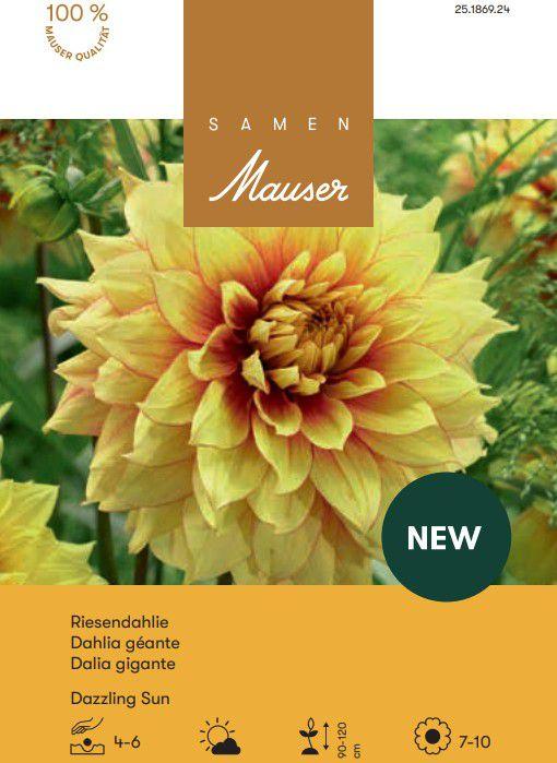 Actual product image Samen Mauser Riesenblüten-Dahlie Dazzling Sun