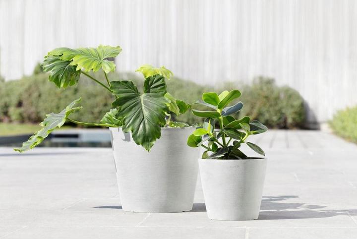Immagine prodotto Ecopots Amsterdam (20 cm)