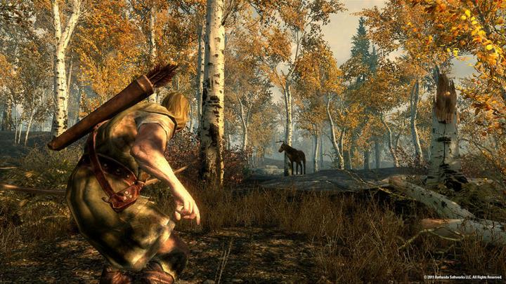 Immagine prodotto Bethesda The Elder Scrolls V: Skyrim (Switch, Multilingue)