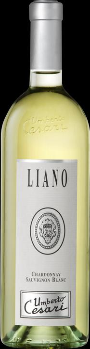 Image du produit Umberto Cesari Liano Bianco Rubicone IGT (1 x 75 cl, 2021)