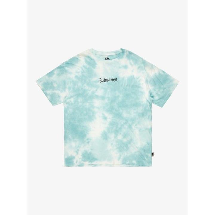 Produktbild Quiksilver TD Frog Ritual S/S Tee (S)