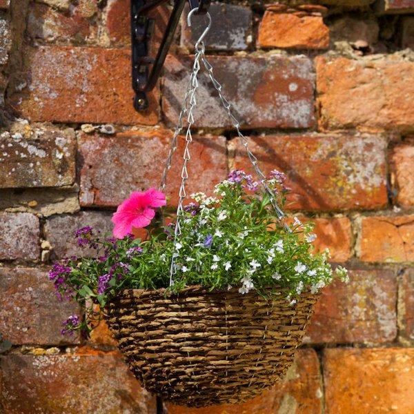 Actual product image Smart Garden Country