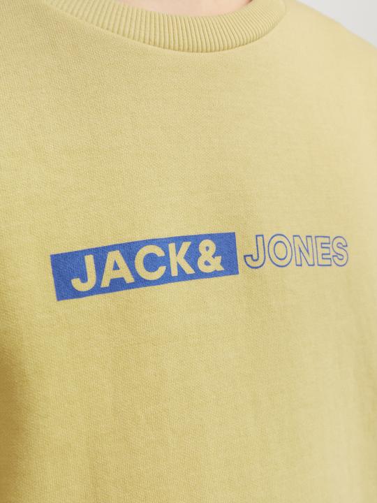 Produktbild Jack & Jones Gedruckt Sweatshirt mit Rundhals Für jungs Sweatshirt mit Rundhals (140)