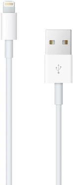 Produktbild Apple iPod touch 7th Gen (256 GB)
