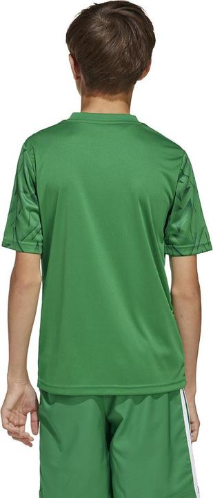 Produktbild adidas Team Icon 25 Trikot Kids (152)