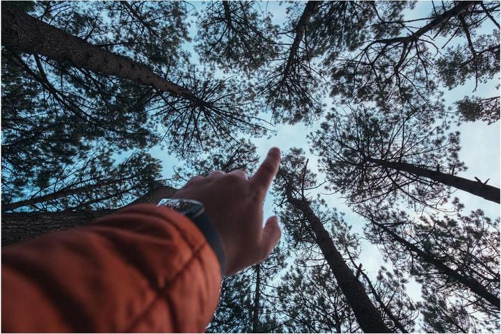 Produktbild Samyang AF 12mm f/2.0 Sony E-Mount (Sony E, APS-C / DX)